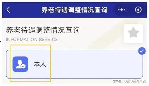 养老金最新爆料信息查询,揭秘最新爆料背后的政策调整与影响